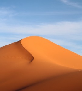Desert Safari