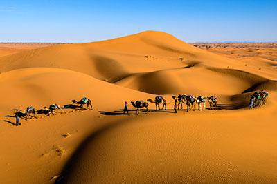 Group Desert Safari Adventure Tours in Dubai