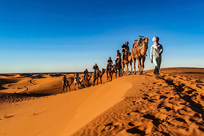 Group Desert Safari Adventure Tours in Dubai