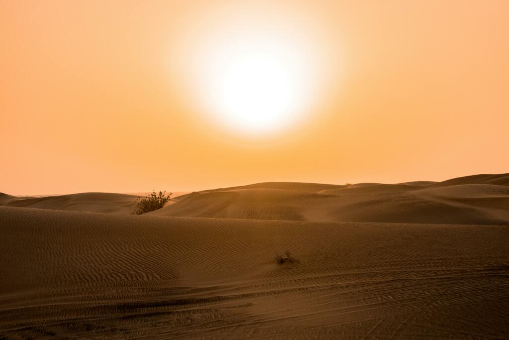 morning desert safari in dubai